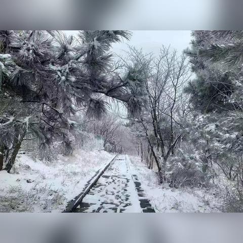 河南下周雨雪天气预报(河南明天下雪) 河南下周雨雪天气预报(河南明天下雪)