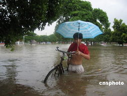 山东特大暴雨名单，极端天气下的城乡记忆与应对之策