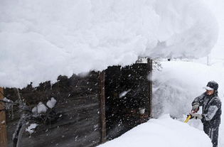 辽宁降雪最新消息,多地将迎强降雪,出行需注意安全 辽宁降雪最新消息,多地将迎强降雪,出行需注意安全