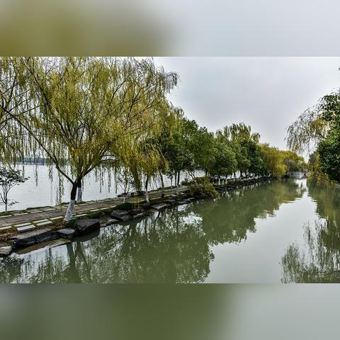 浙江嘉兴天气预报,春日烟雨,出行需备伞 浙江嘉兴天气预报,春日烟雨,出行需备伞